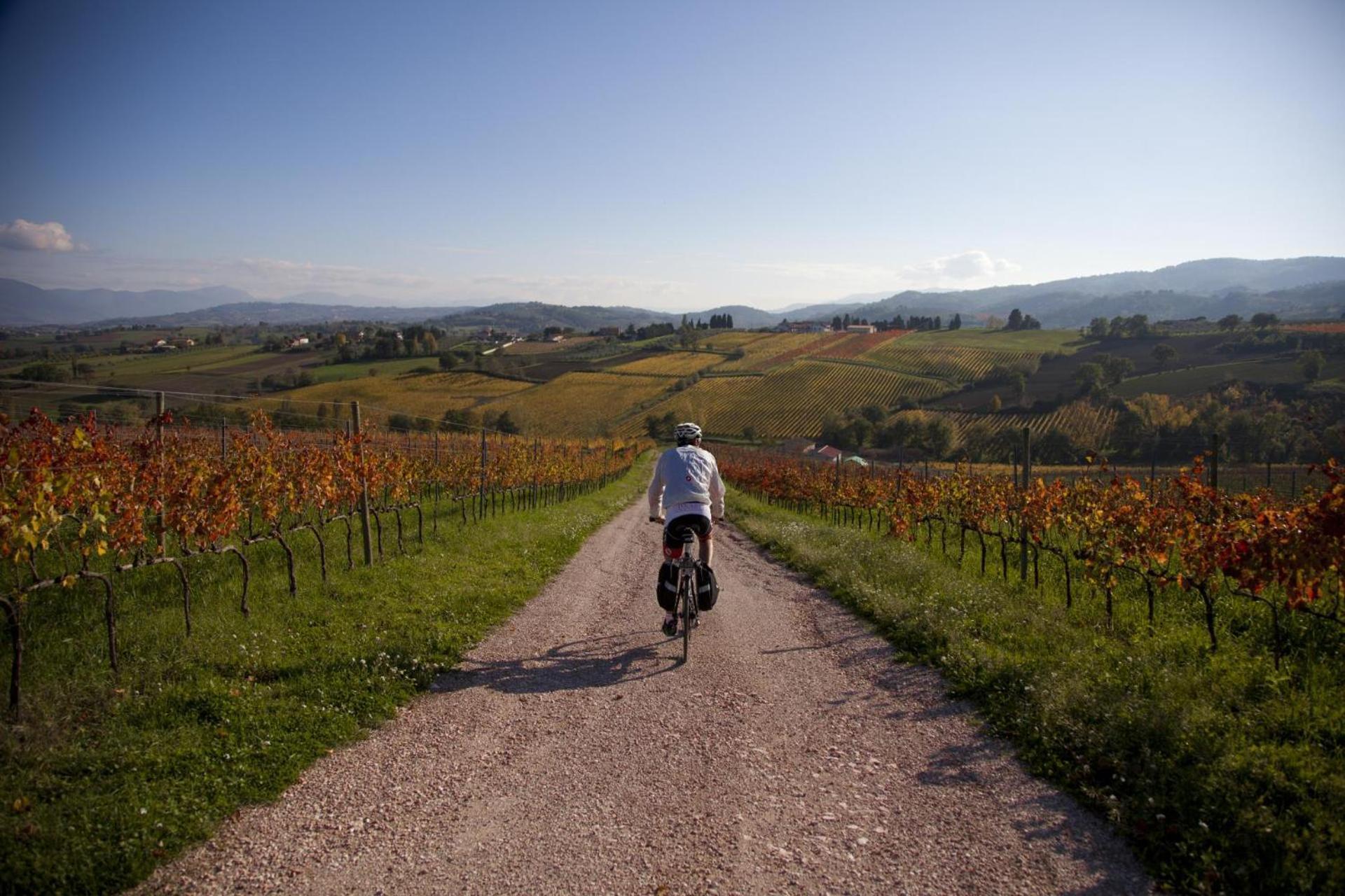 Agriturismo Bio Tra Cielo E Terra Lägenhet Grutti Exteriör bild