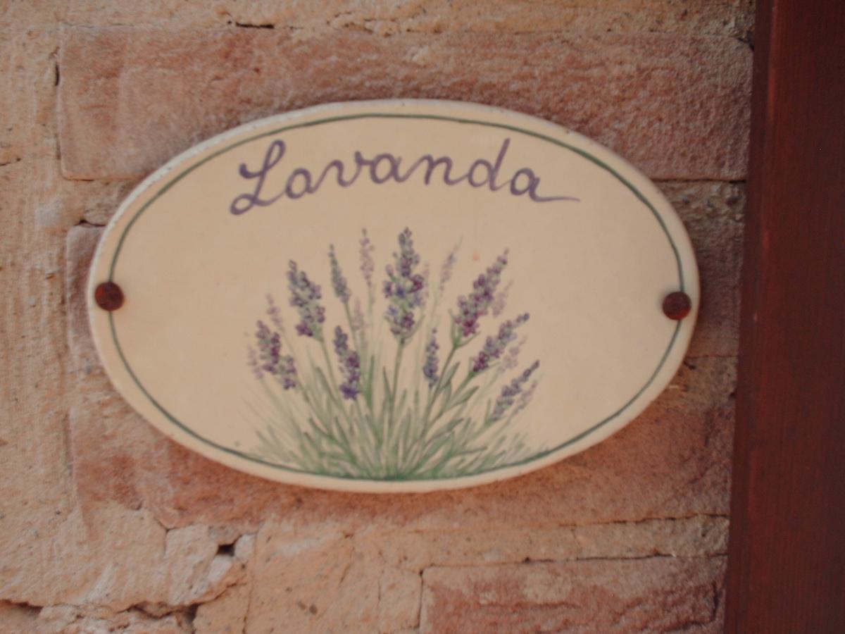 Agriturismo Bio Tra Cielo E Terra Lägenhet Grutti Exteriör bild
