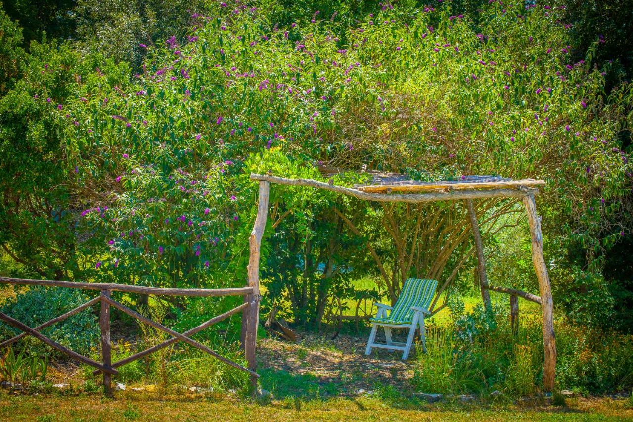 Agriturismo Bio Tra Cielo E Terra Lägenhet Grutti Exteriör bild