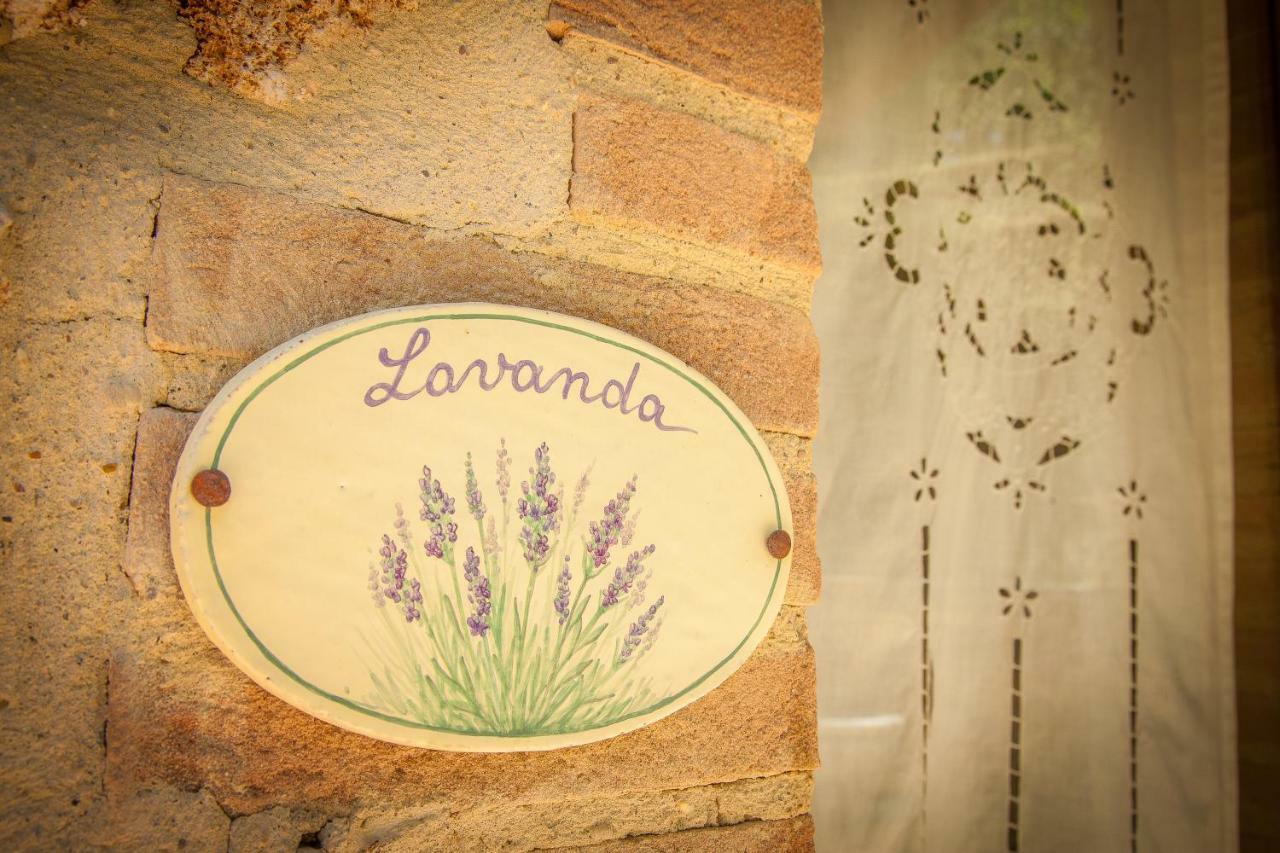 Agriturismo Bio Tra Cielo E Terra Lägenhet Grutti Exteriör bild