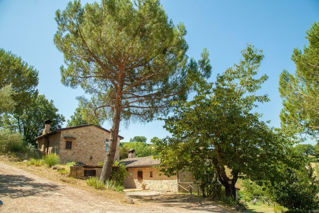Agriturismo Bio Tra Cielo E Terra Lägenhet Grutti Exteriör bild