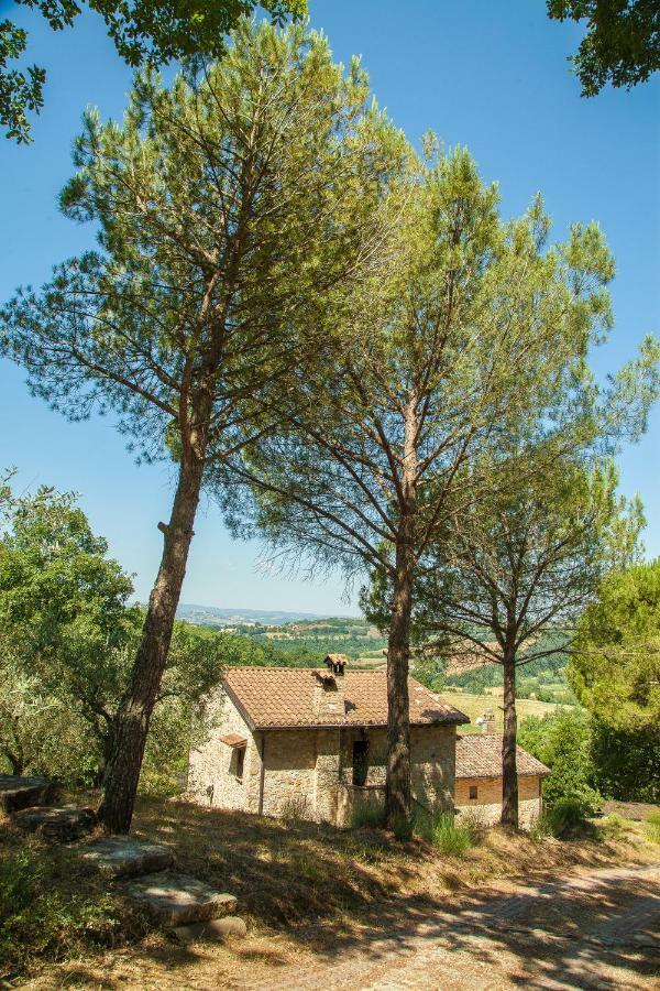 Agriturismo Bio Tra Cielo E Terra Lägenhet Grutti Exteriör bild