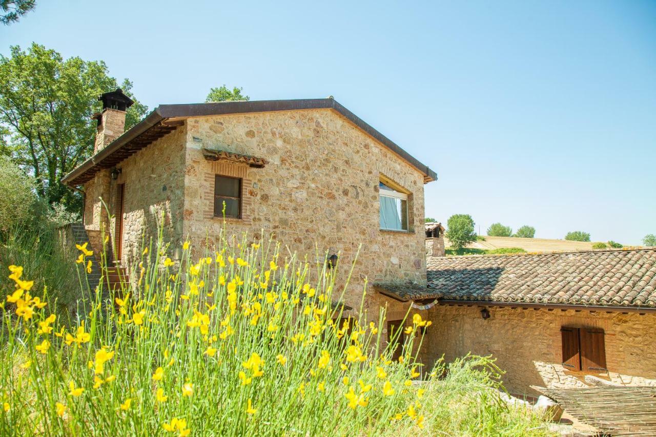 Agriturismo Bio Tra Cielo E Terra Lägenhet Grutti Exteriör bild