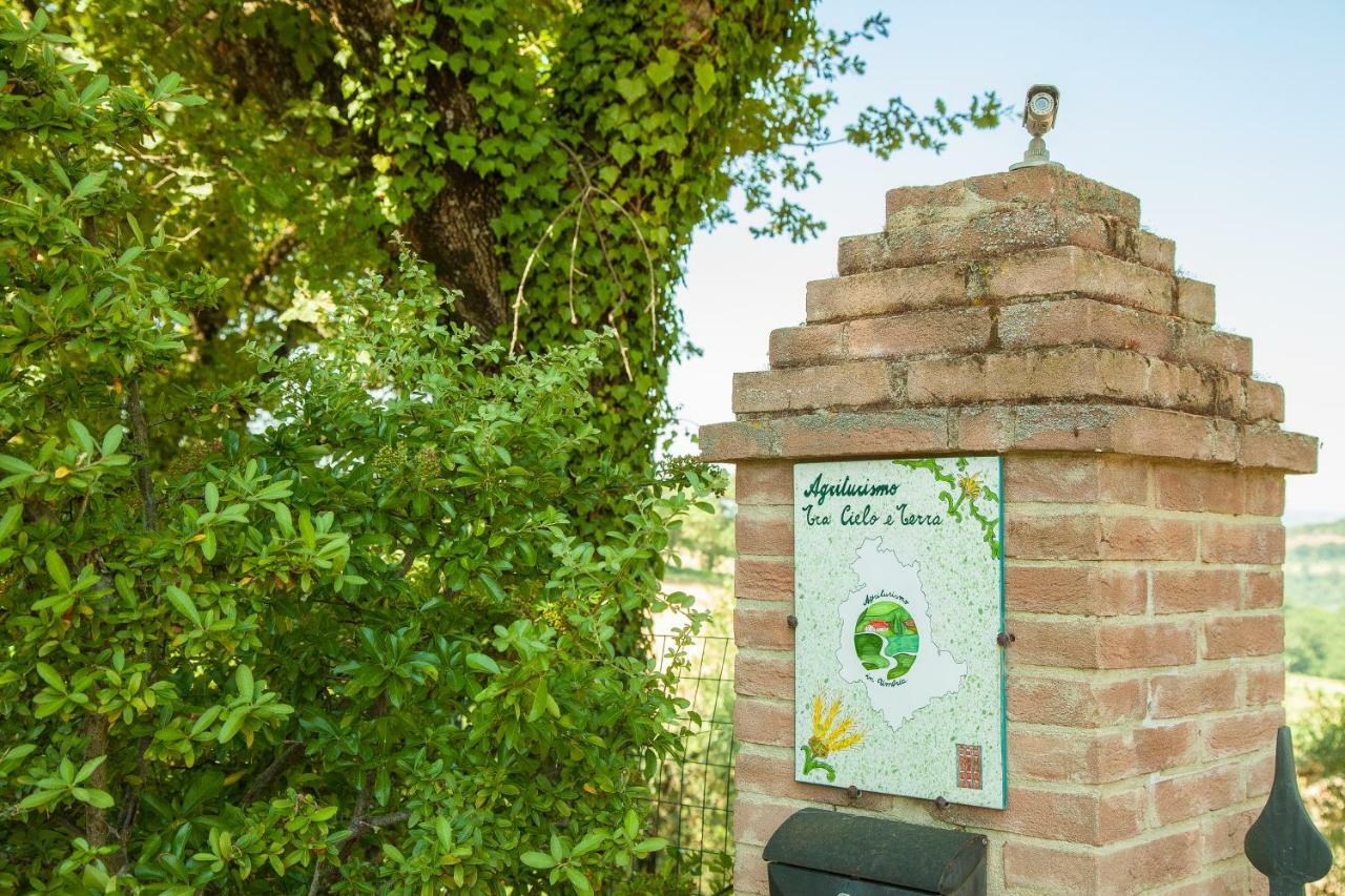 Agriturismo Bio Tra Cielo E Terra Lägenhet Grutti Exteriör bild